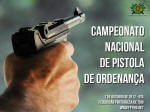 cn-PistolaOrdenanca-2012a-posterweb.jpg (179702 bytes)